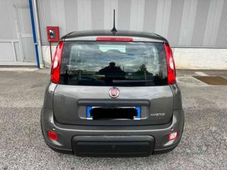 FIAT Panda usata, con Controllo trazione