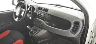 FIAT Panda usata 40