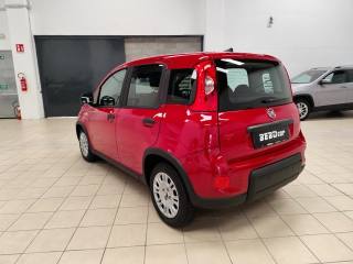 FIAT Panda usata, con ESP