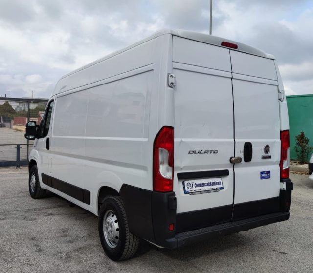 FIAT usata 4