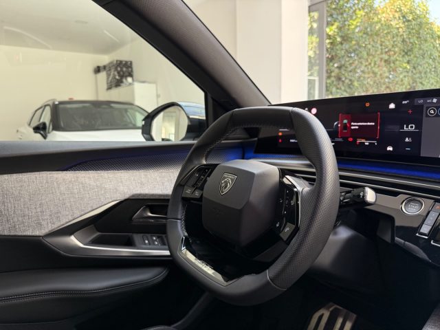 PEUGEOT 3008 usata, con Vetri oscurati