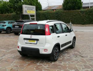 FIAT Panda usata, con Alzacristalli elettrici