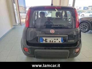 FIAT Panda usata, con Controllo trazione