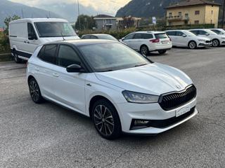 SKODA Fabia usata, con Airbag