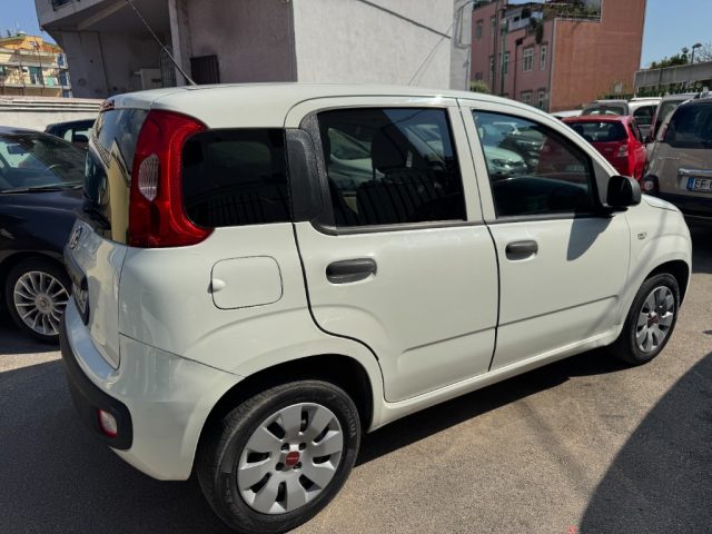 FIAT Panda usata 2