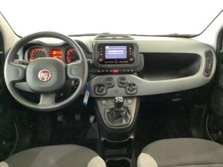 FIAT Panda usata, con Chiusura centralizzata