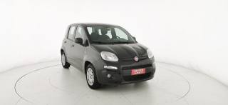 FIAT Panda 1.2 Easy - OK NEOPATENTATI