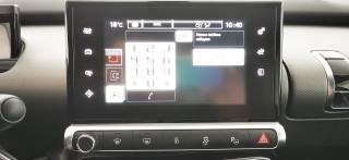 CITROEN C4 Cactus usata 70