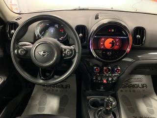 MINI Countryman usata, con Cronologia tagliandi