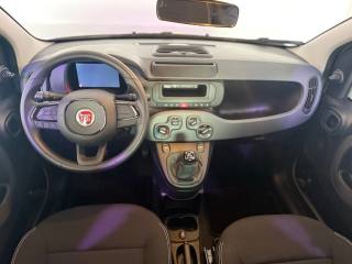 FIAT Pandina usata 5