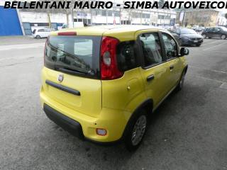 FIAT Panda usata, con Controllo trazione