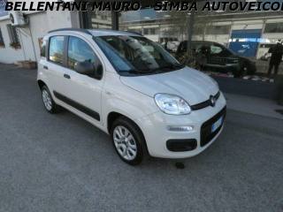 FIAT Panda usata, con Servosterzo