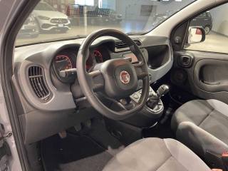 FIAT Panda usata 16