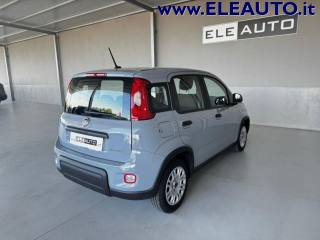FIAT Panda usata, con Autoradio