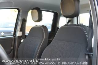 FIAT Panda usata 11