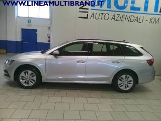 SKODA Octavia usata, con Antifurto