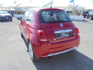 FIAT 500 usata 13