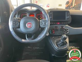 FIAT Panda Cross usata, con ESP