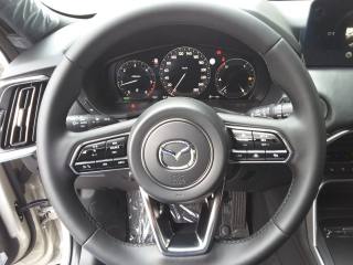 MAZDA CX-60 usata, con Boardcomputer