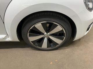 VOLKSWAGEN Maggiolino usata, con Controllo trazione