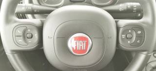 FIAT Panda usata 39
