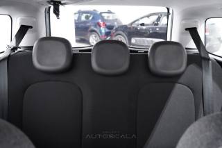 FIAT New Panda usata 19