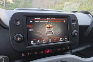 FIAT Panda Cross usata, con Fendinebbia