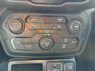 JEEP Renegade usata, con Cruise Control