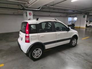 FIAT Panda usata 4