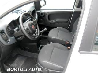 FIAT Panda usata, con Antifurto