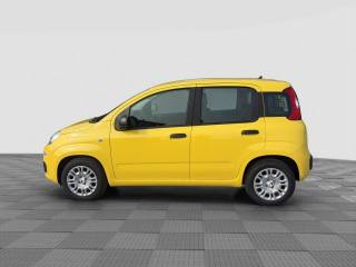 FIAT Panda usata 1