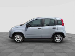 FIAT Panda usata 1