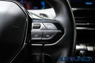 PEUGEOT 3008 usata, con Vetri oscurati