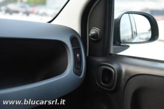 FIAT Panda usata 22