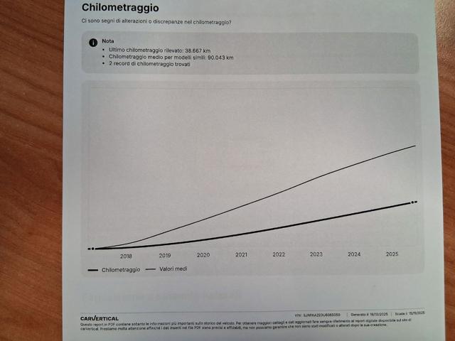 NISSAN Leaf usata 32