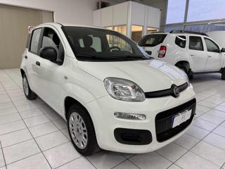 FIAT Panda usata, con Alzacristalli elettrici