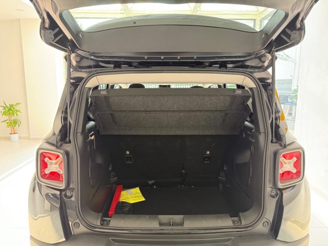 JEEP Renegade usata, con Cruise Control
