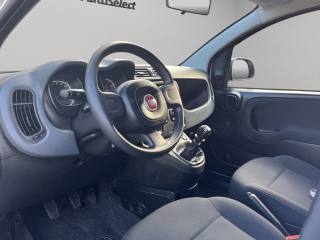 FIAT Panda usata, con Climatizzatore