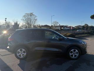 FORD Kuga usata, con Airbag Passeggero