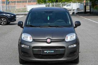 FIAT Panda usata, con Bluetooth