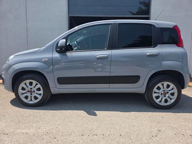 FIAT Panda usata 19