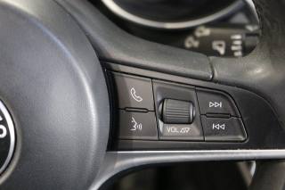 ALFA ROMEO Stelvio usata, con Vetri oscurati