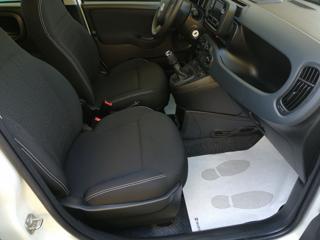 FIAT Panda usata, con Immobilizzatore elettronico