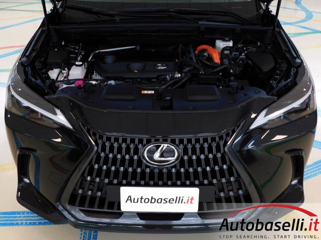 LEXUS NX 300h usata, con Vetri oscurati
