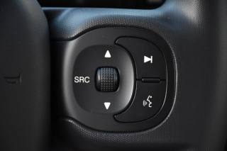 FIAT Panda usata, con Volante multifunzione