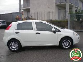 FIAT Punto usata, con Servosterzo