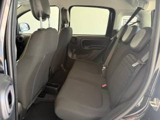 FIAT Panda Cross usata, con Immobilizzatore elettronico