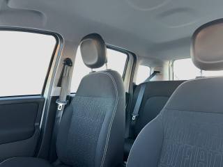 FIAT Panda usata 10