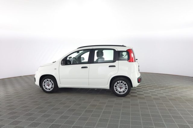FIAT Panda usata 5