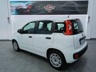 FIAT Panda usata, con Climatizzatore